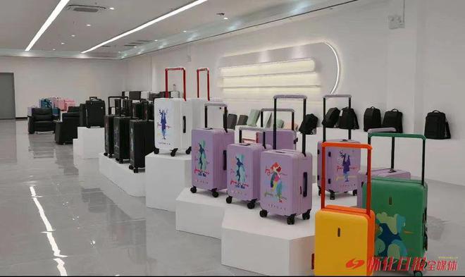 “链”出新气象——2024年怀化十大产业链发展回眸①｜“箱”行天下——走笔怀化箱(图6)